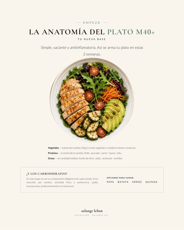 Vista previa de la página de la anatomía del plato del Empezá.